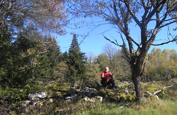 Wanderregion Bayerischer Wald